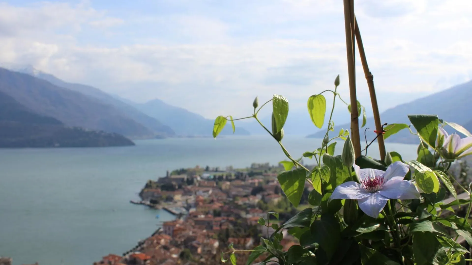 La Rondine Villa Gravedona Holiday home